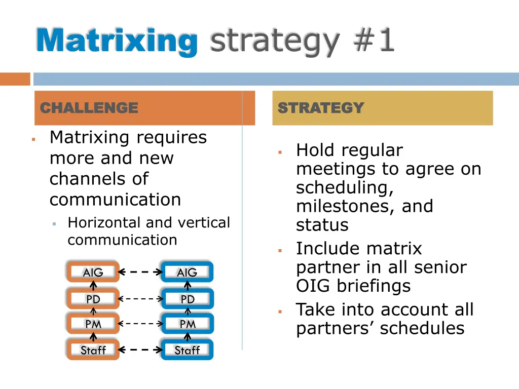 matrixing strategy 1