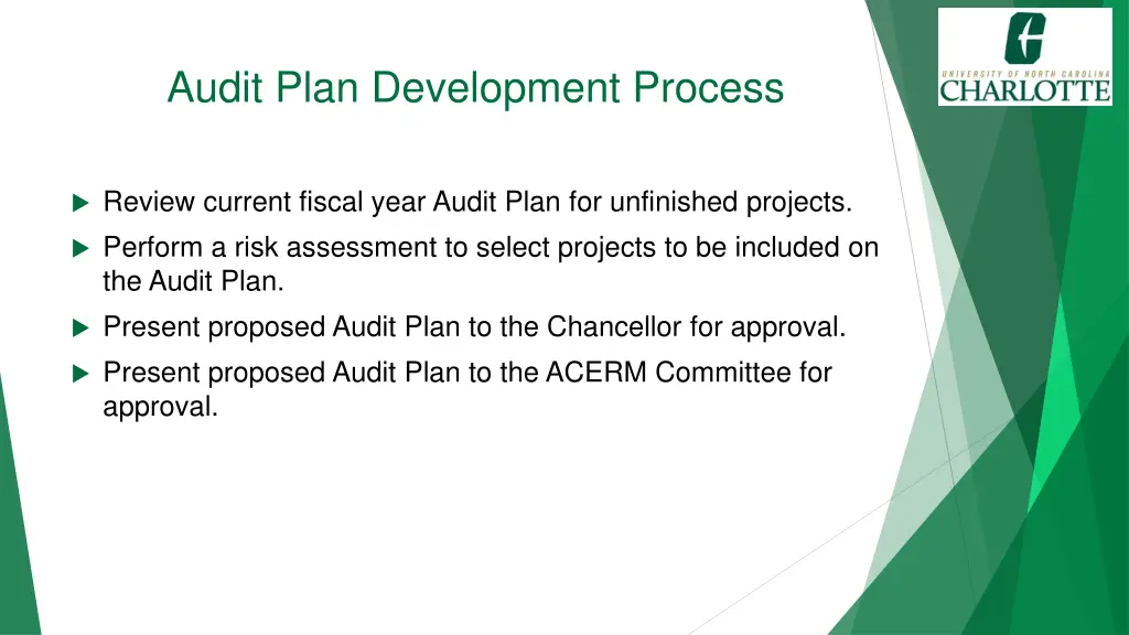 audit plan development process