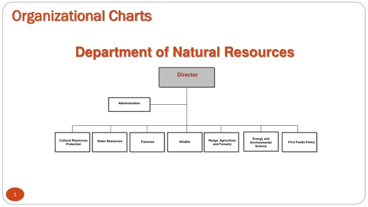 organizational charts organizational charts