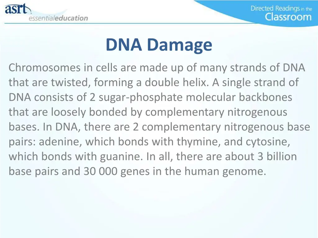 dna damage