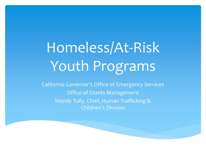 homeless at risk youth programs