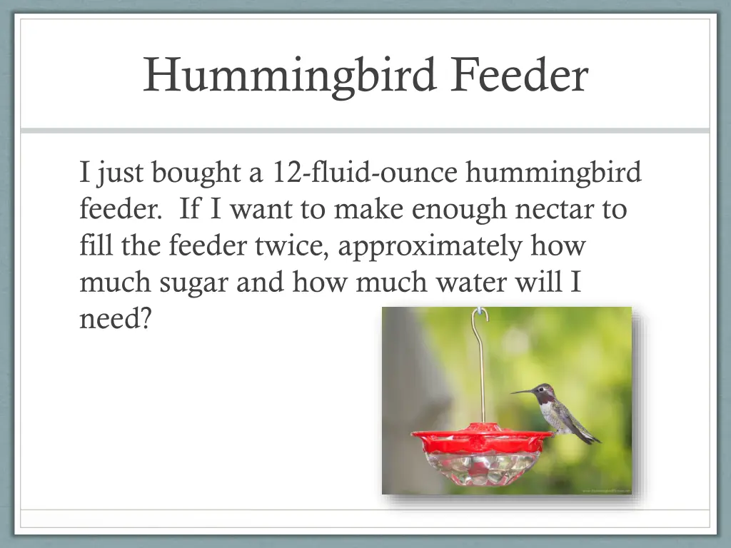 hummingbird feeder 1