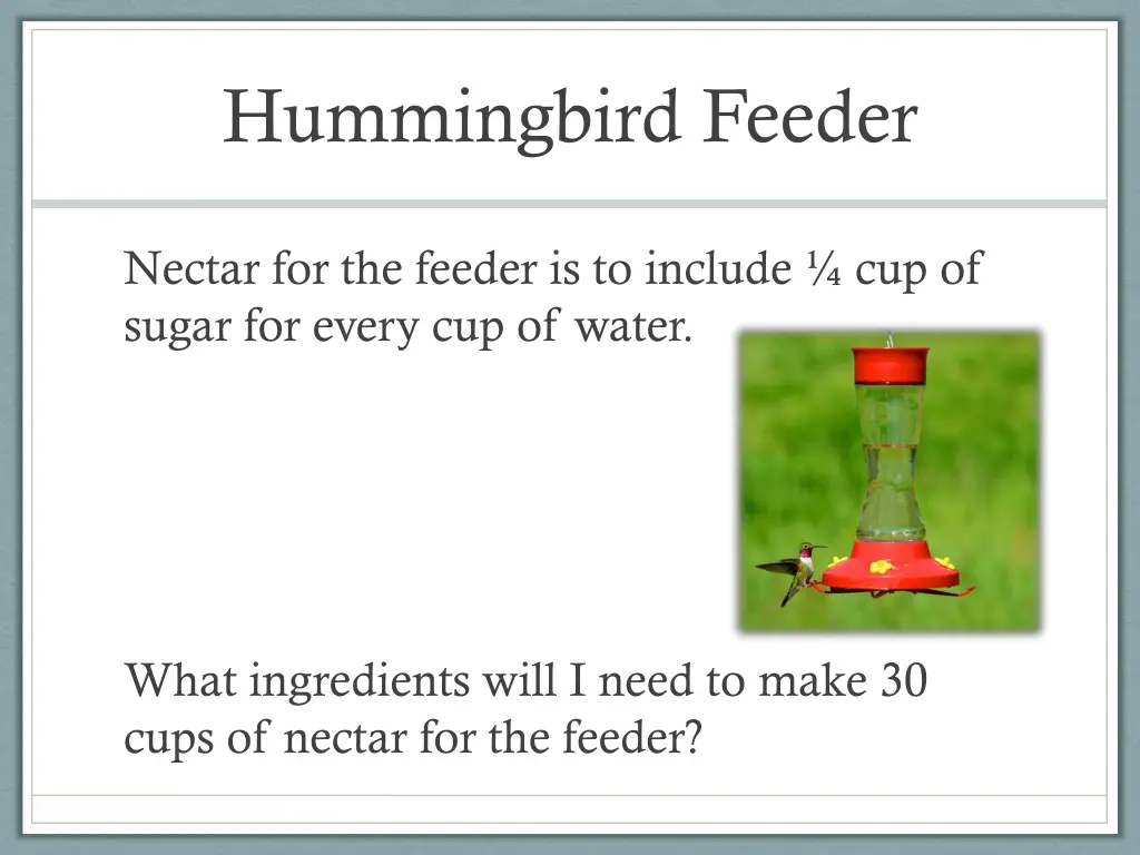 hummingbird feeder