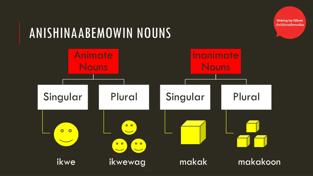 anishinaabemowin nouns