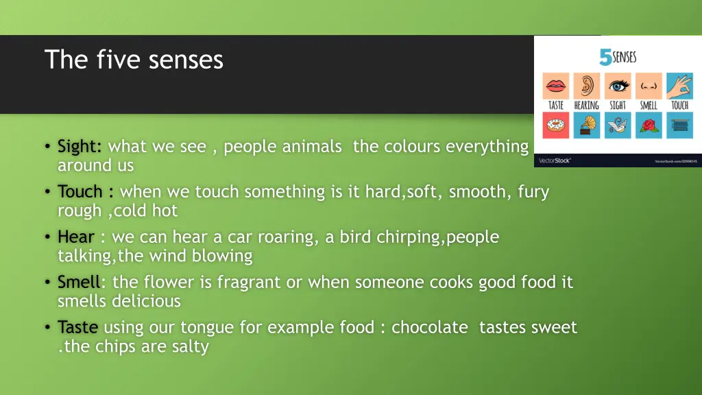 the five senses