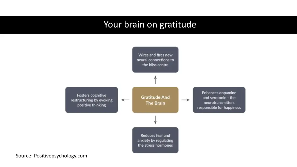 your brain on gratitude