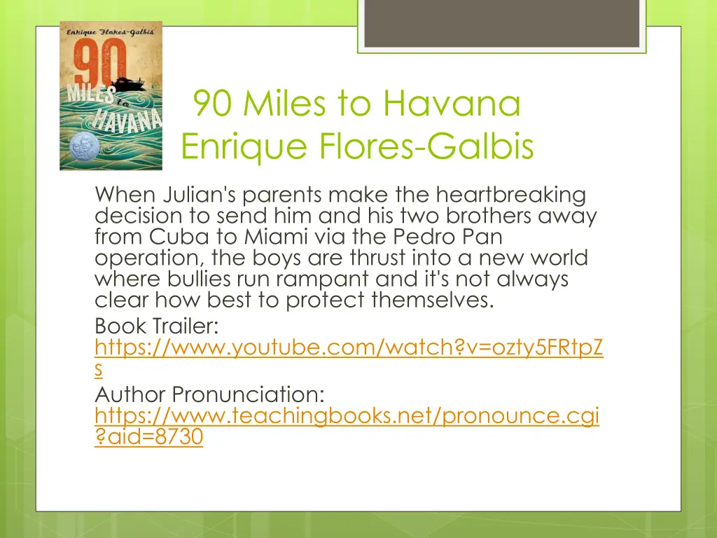 90 miles to havana enrique flores galbis