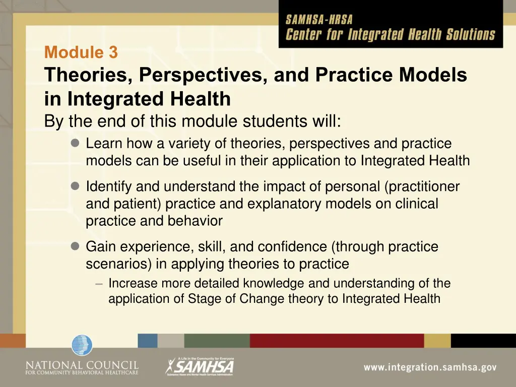 module 3 theories perspectives and practice