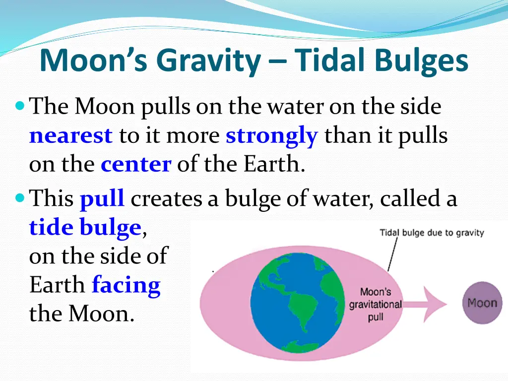 moon s gravity tidal bulges