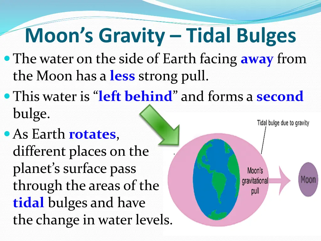 moon s gravity tidal bulges the water on the side