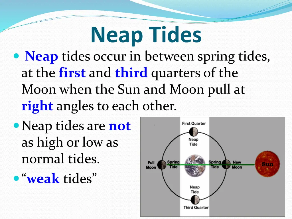 neap tides