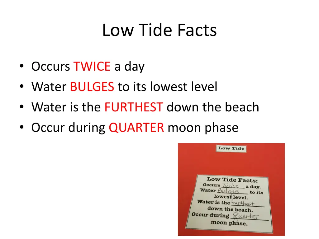 low tide facts