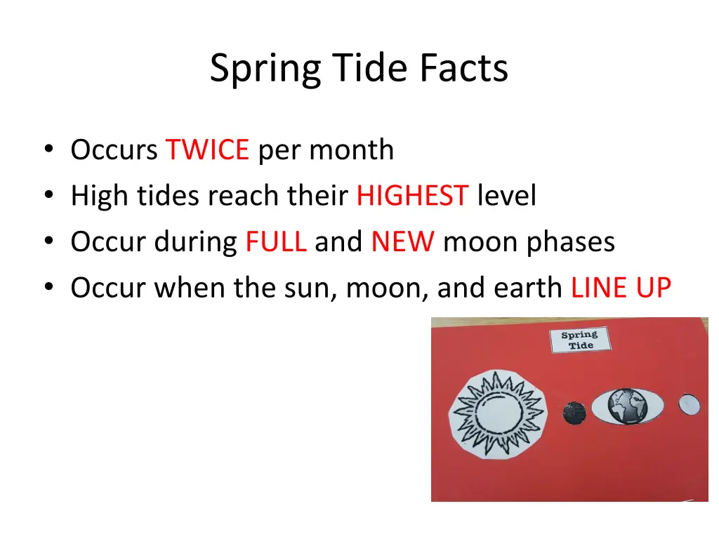 spring tide facts