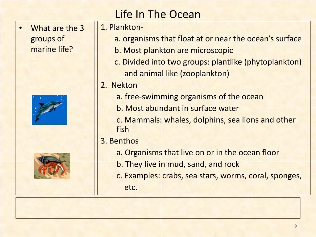 life in the ocean 1 plankton a organisms that