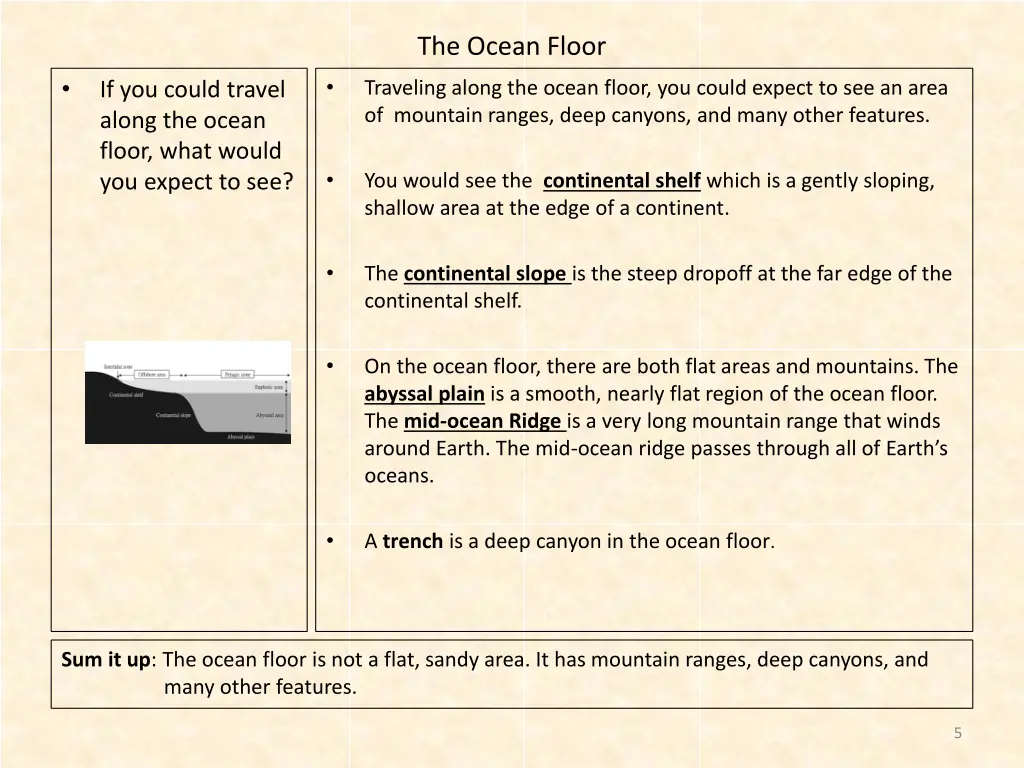 the ocean floor 1