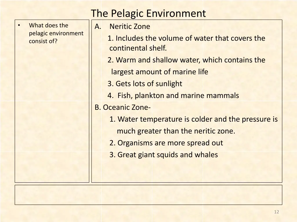 the pelagic environment a neritic zone 1 includes