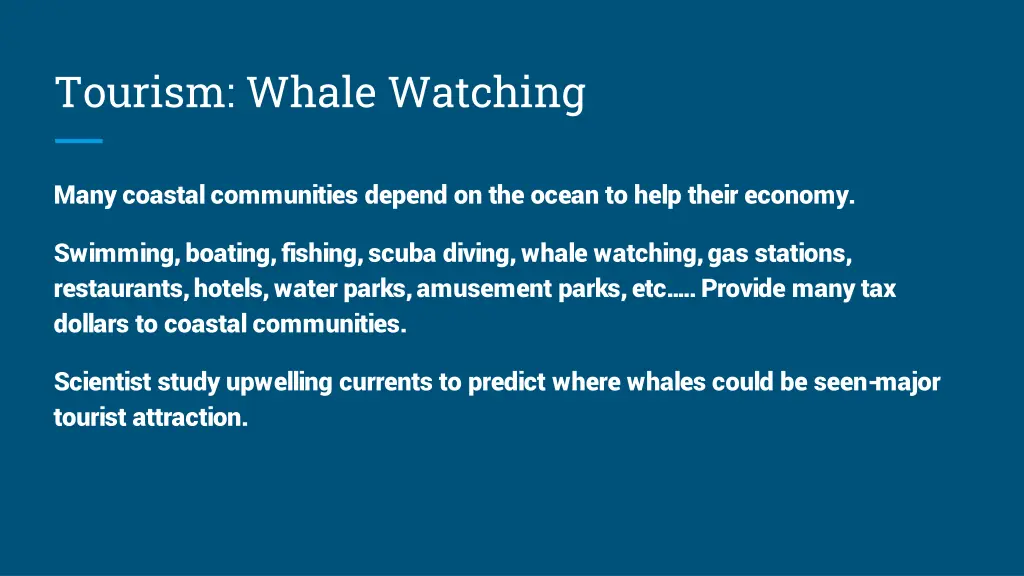 tourism whale watching