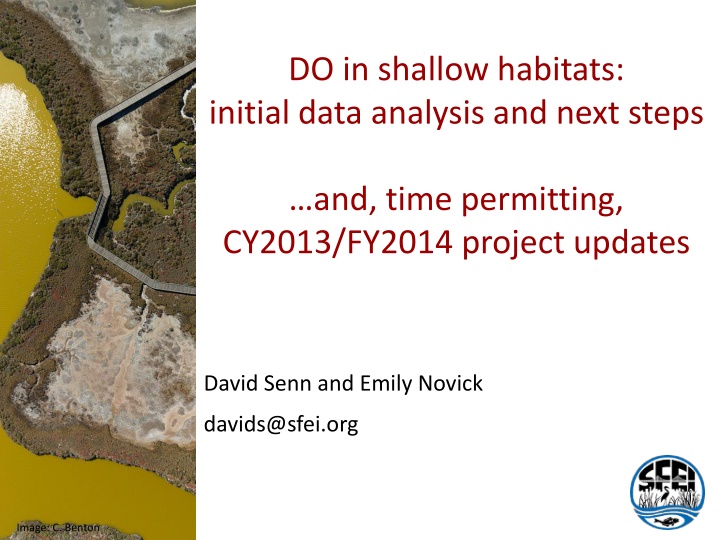 do in shallow habitats initial data analysis