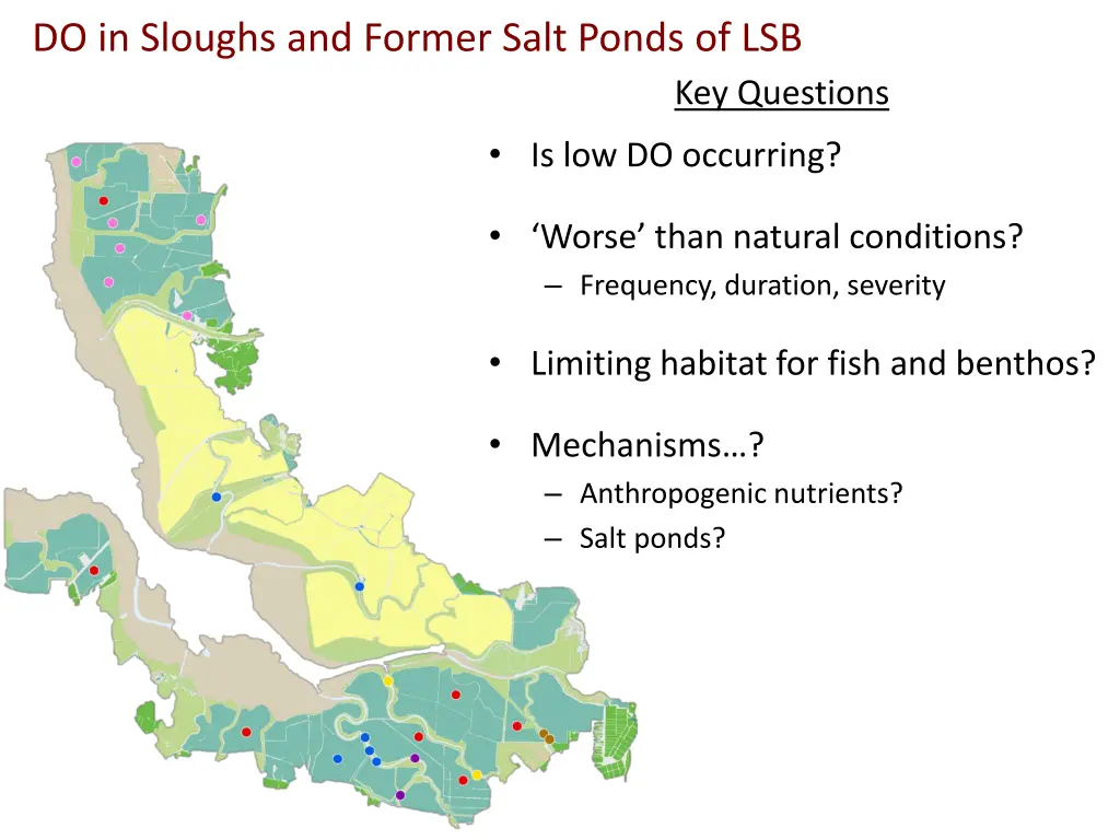 do in sloughs and former salt ponds of lsb