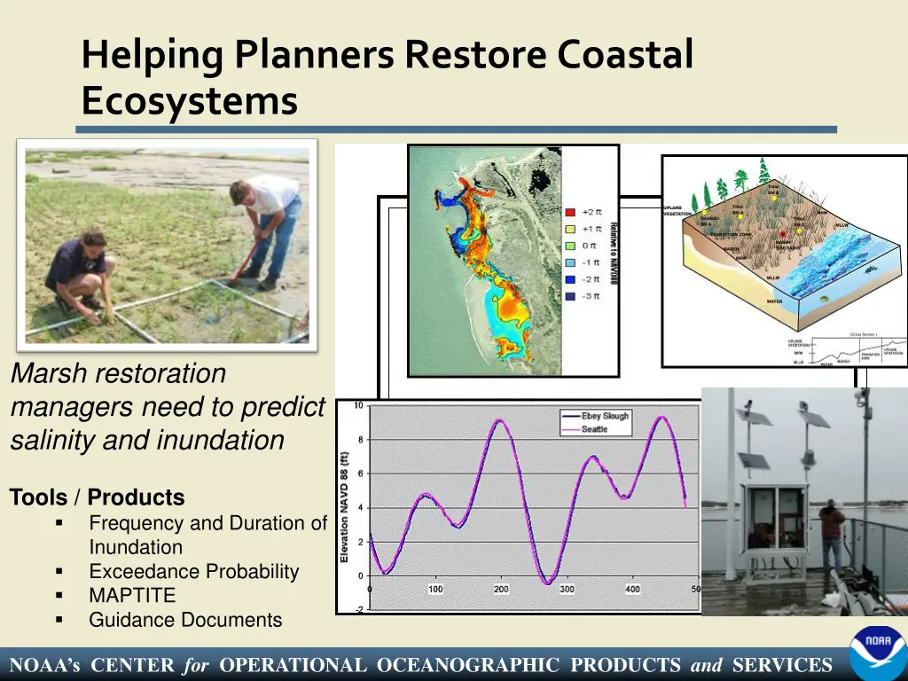 helping planners restore coastal ecosystems