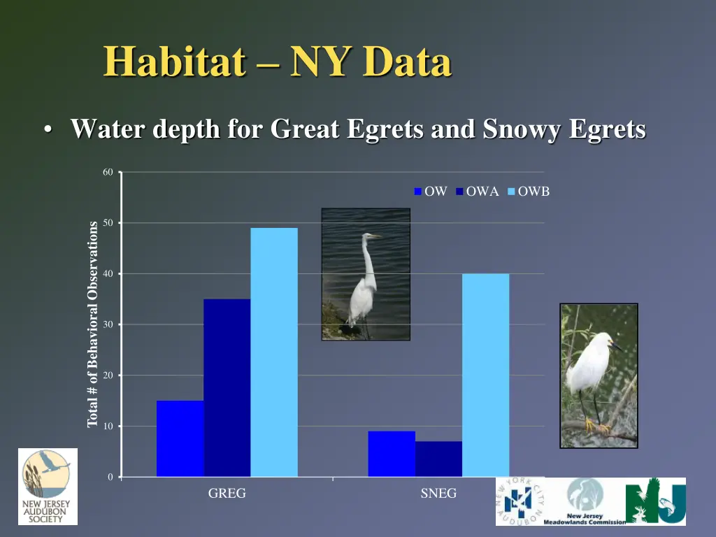 habitat ny data