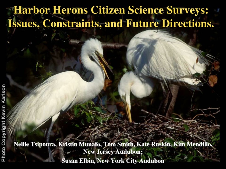 harbor herons citizen science surveys issues