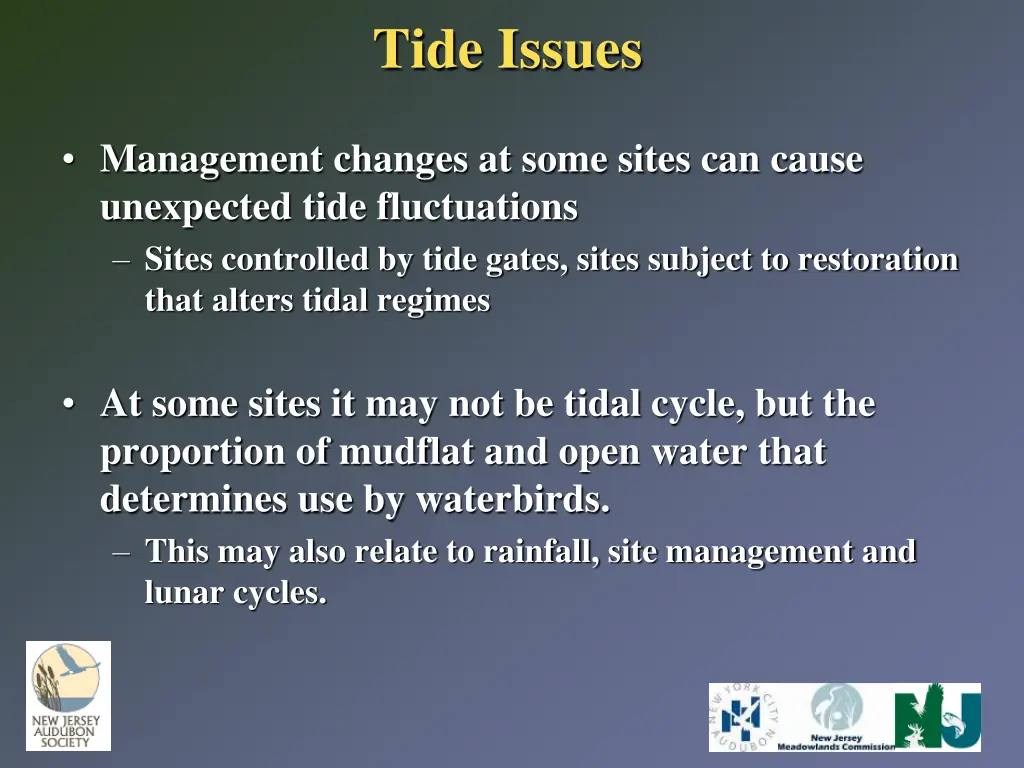 tide issues 1