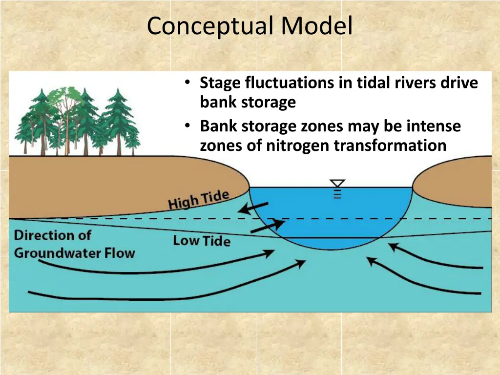 conceptual model