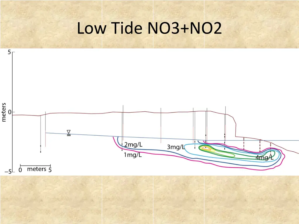 low tide no3 no2