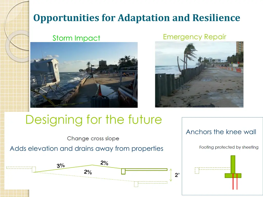 opportunities for adaptation and resilience