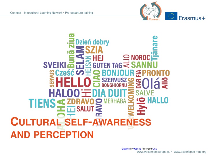 connect intercultural learning network