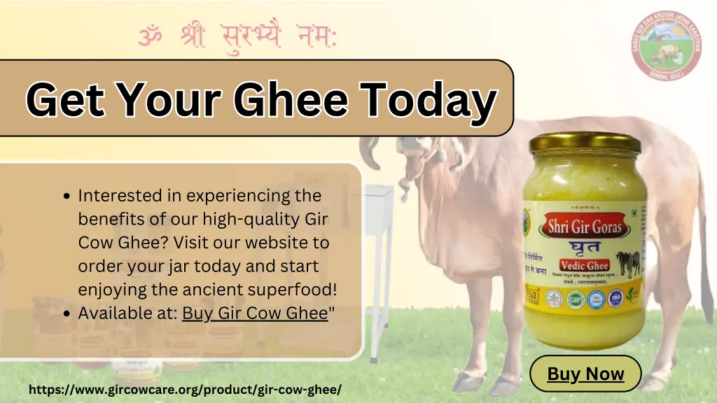 get your ghee today get your ghee today