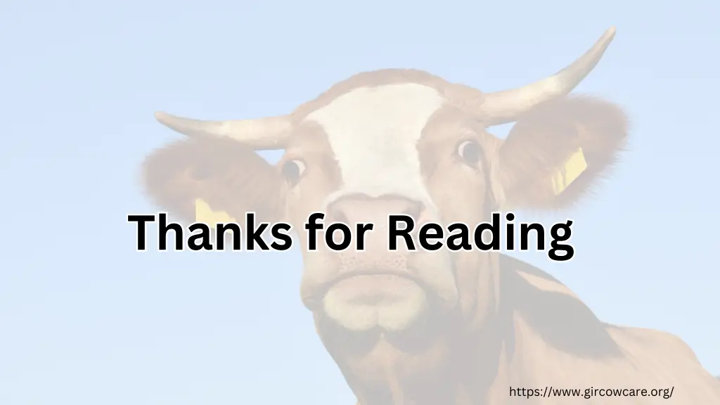 thanks for reading thanks for reading