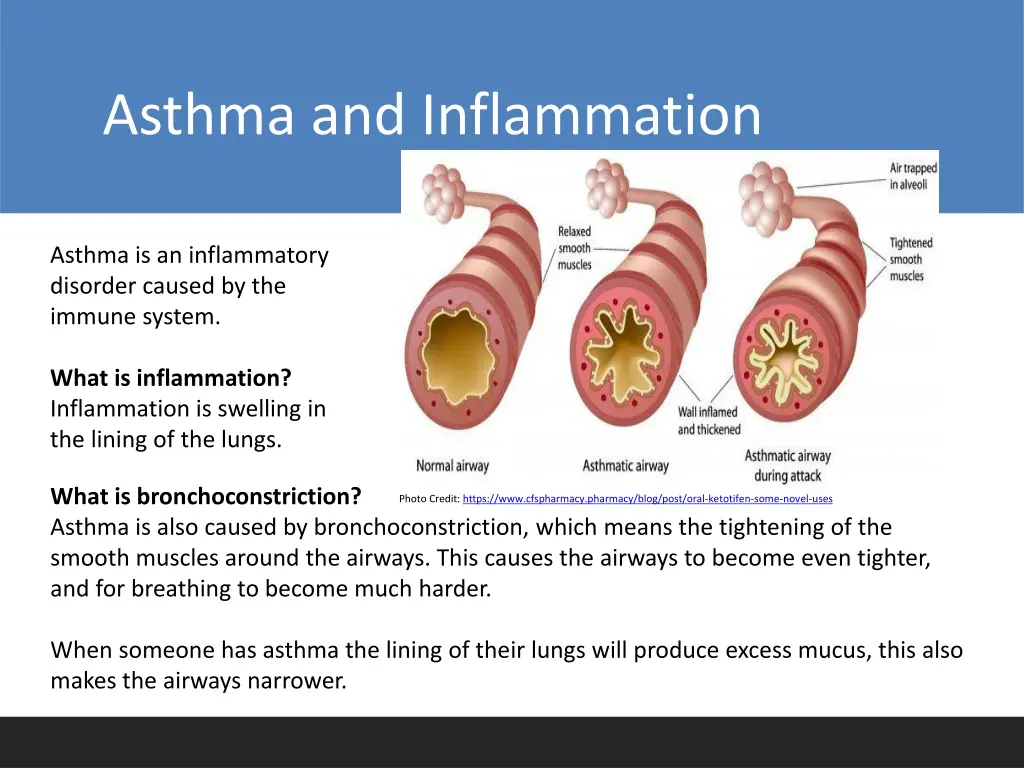 asthma and inflammation