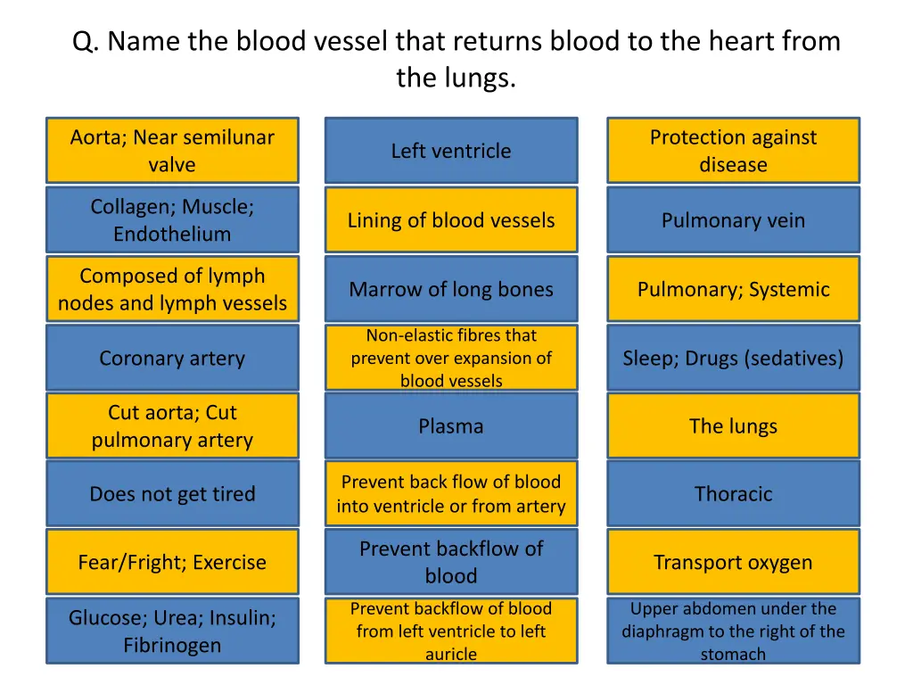 q name the blood vessel that returns blood