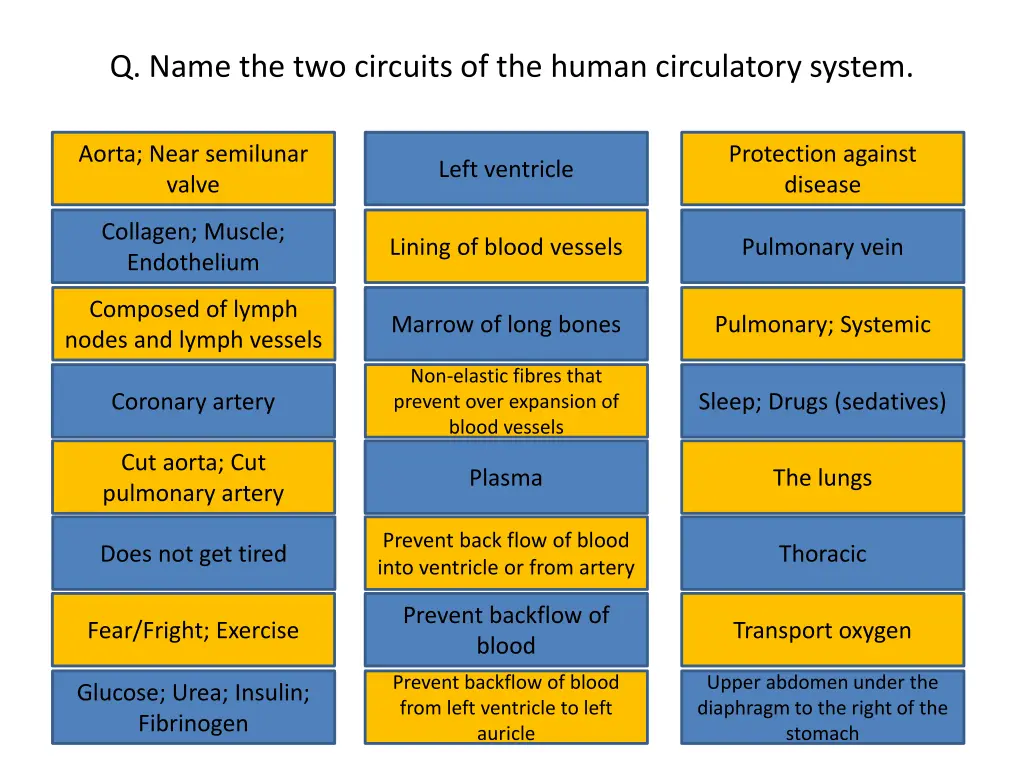 q name the two circuits of the human circulatory