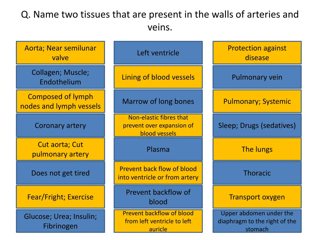 q name two tissues that are present in the walls