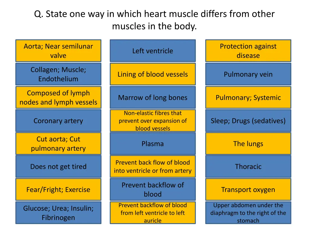 q state one way in which heart muscle differs