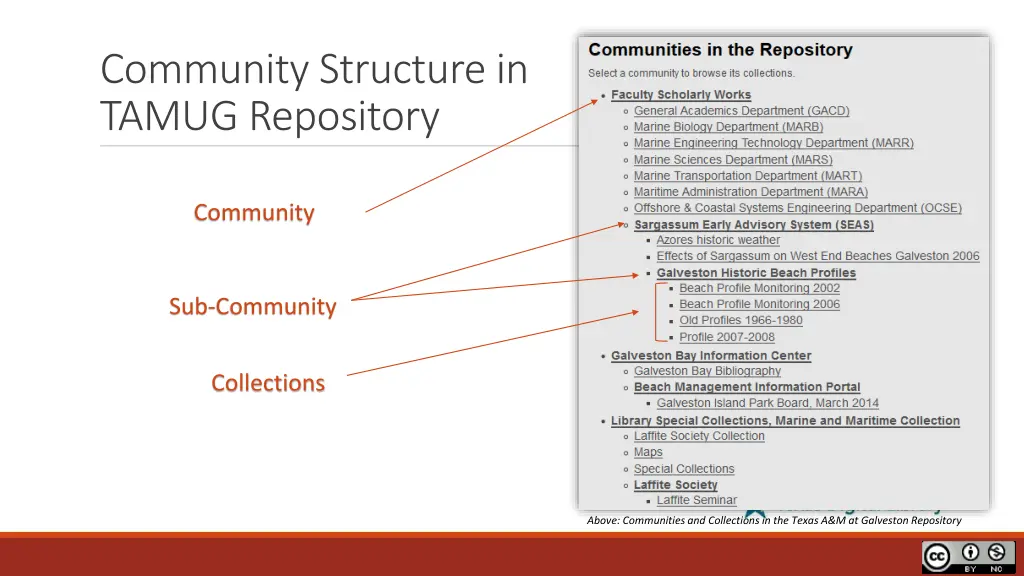 community structure in tamug repository