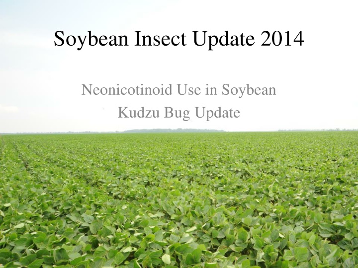 soybean insect update 2014