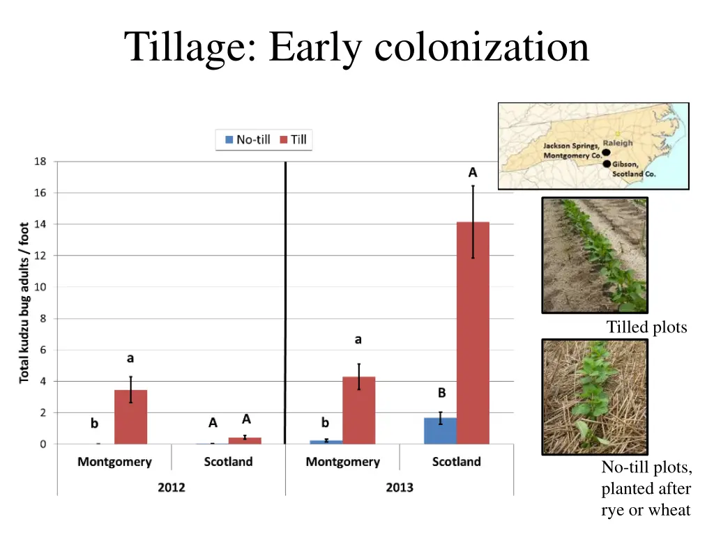 tillage early colonization