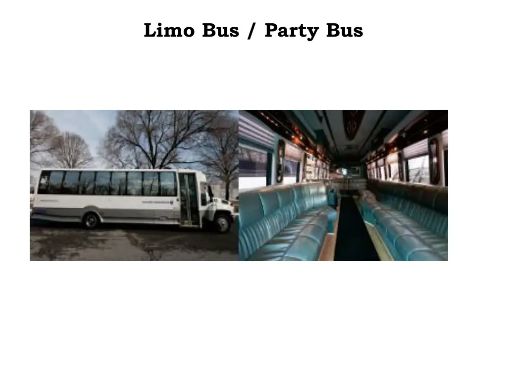 limo bus party bus