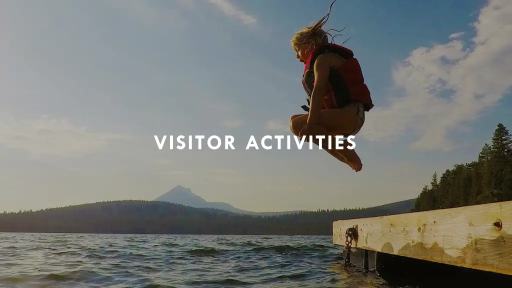 visitor activities