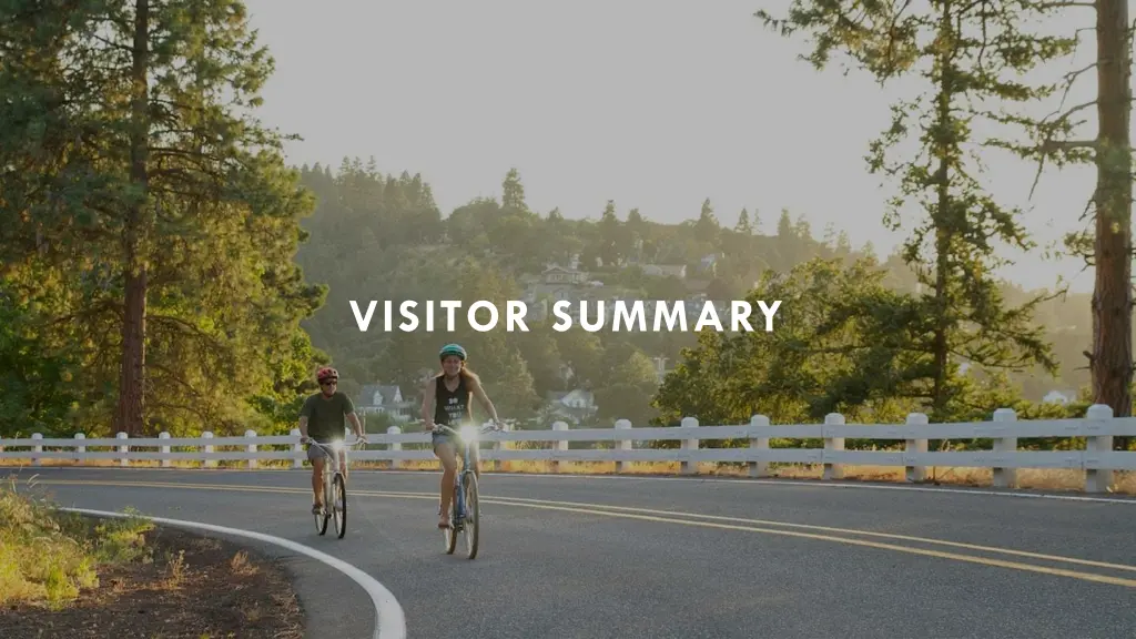 visitor summary