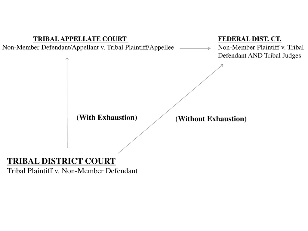 non member defendant appellant v tribal plaintiff