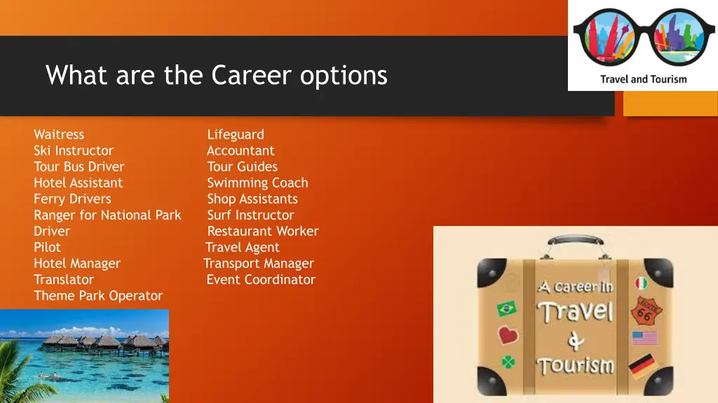 what are the career options