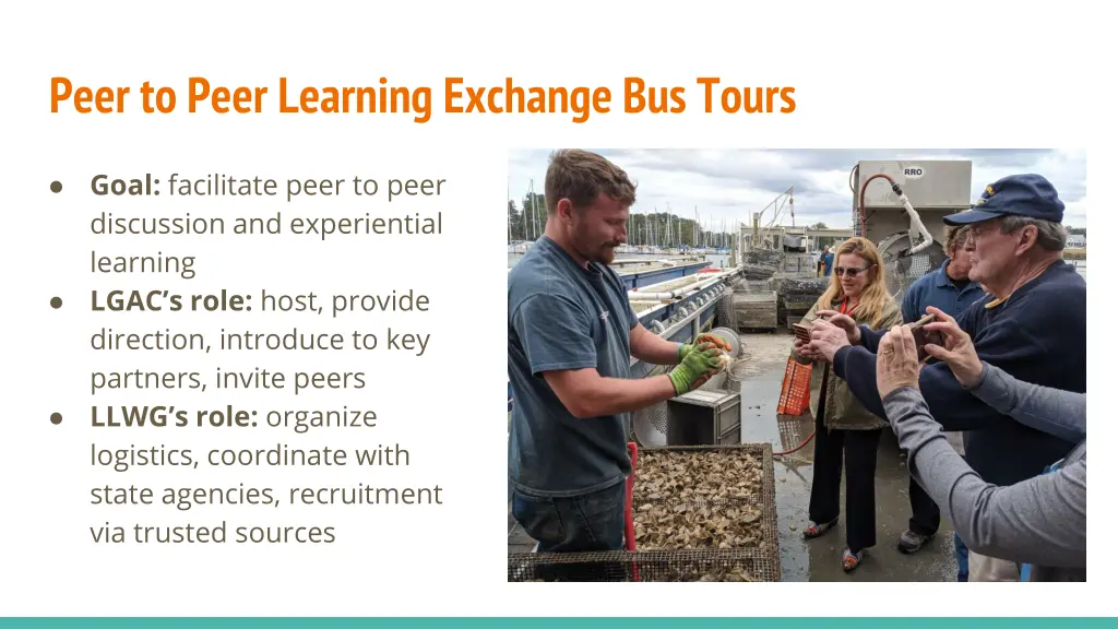 peer to peer learning exchange bus tours