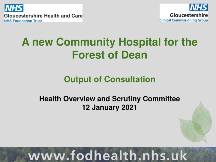 a new community hospital for the forest of dean