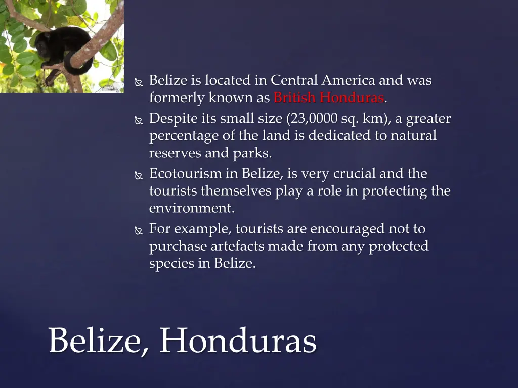 belize is located in central america