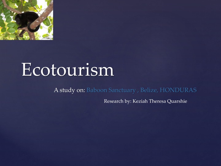 ecotourism